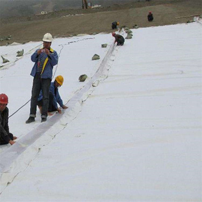 復合土工膜與土工膜 性能、應用及區別解析