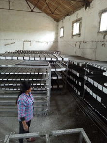 武漢安德裝飾材料廠攜手阿土伯網(wǎng)，開(kāi)啟建筑裝飾材料熱賣(mài)促銷盛宴